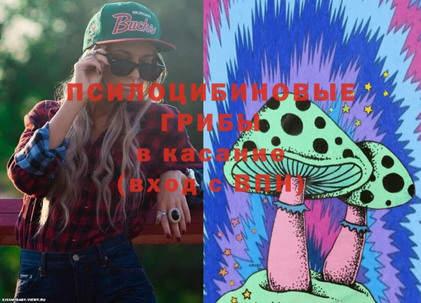 винт Алексин