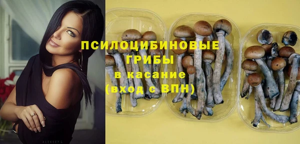 амф Алзамай