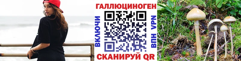 Псилоцибиновые грибы Magic Shrooms  где найти   Апшеронск 